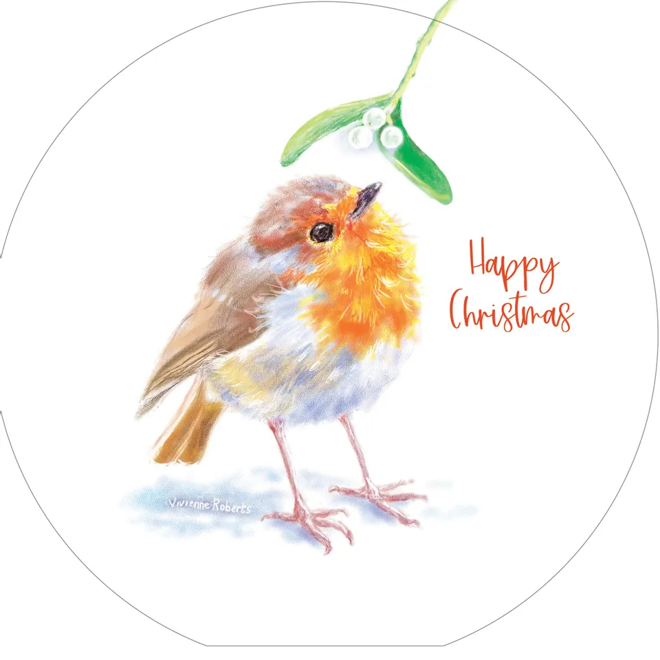 otter-house-inquisitive-robins-rspb-weihnachtskarten-10er image 1