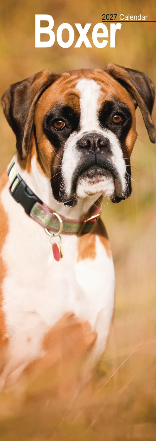 otter-house-boxer-slim-kalender-2027-hunde-schmal image 1