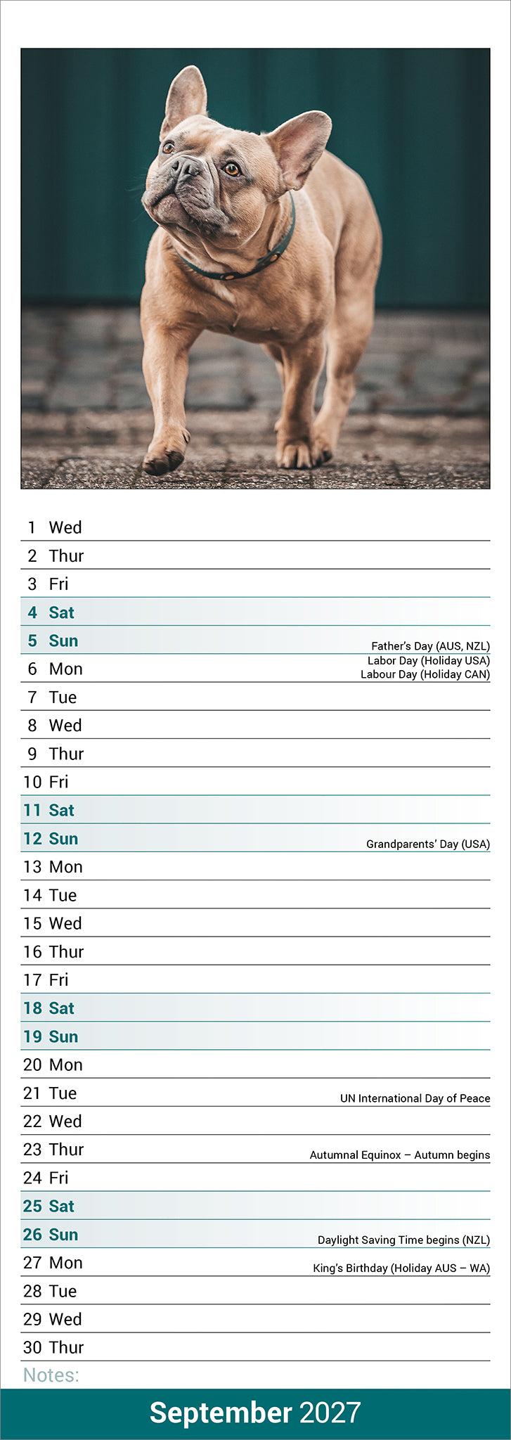 otter-house-french-bulldog-slim-kalender-2027-franz-sische-bulldogge image 3