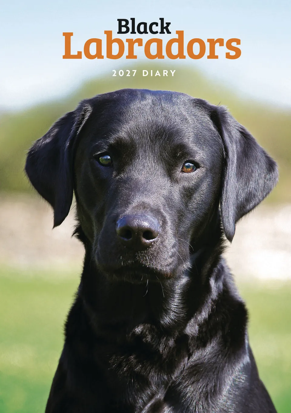 labrador-retrievers-black-a5-diary-terminkalender-2027 image 1