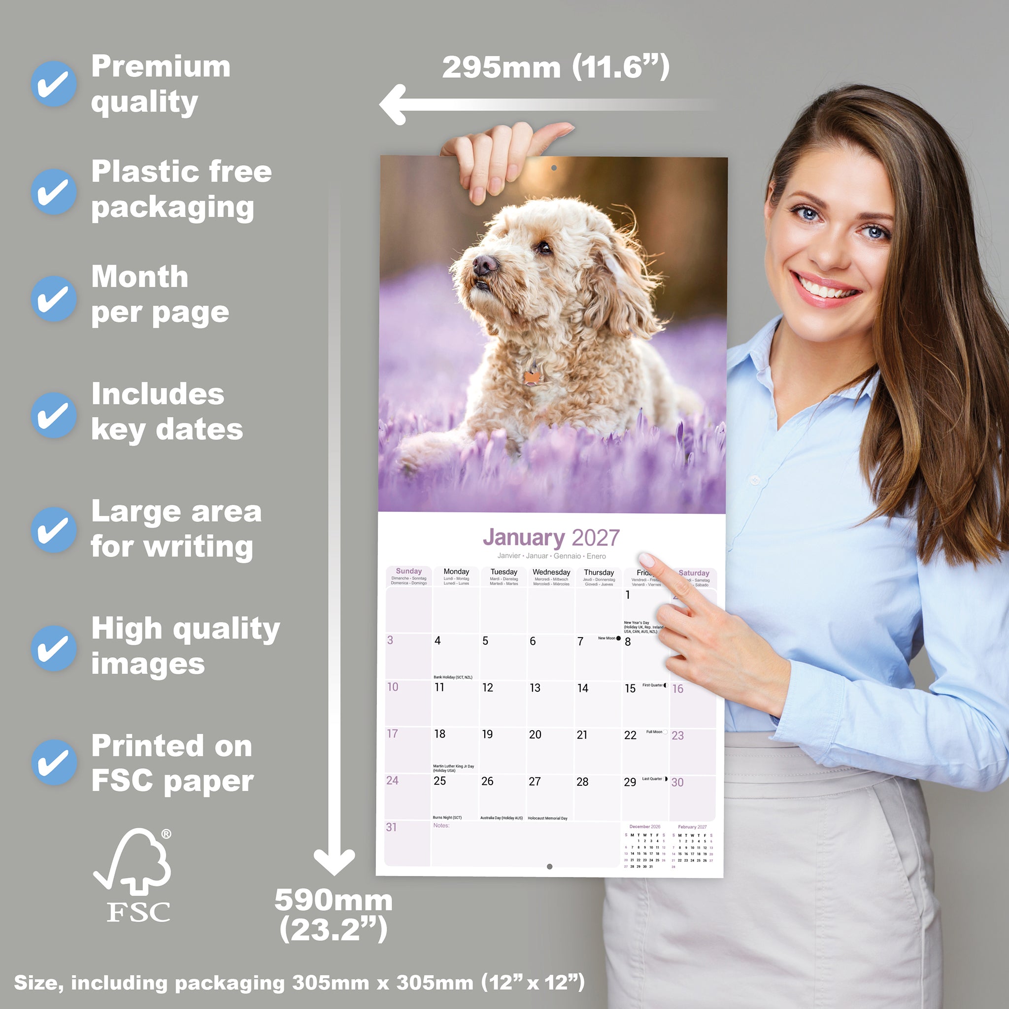 otter-house-cockapoo-wandkalender-2027-hunde image 4