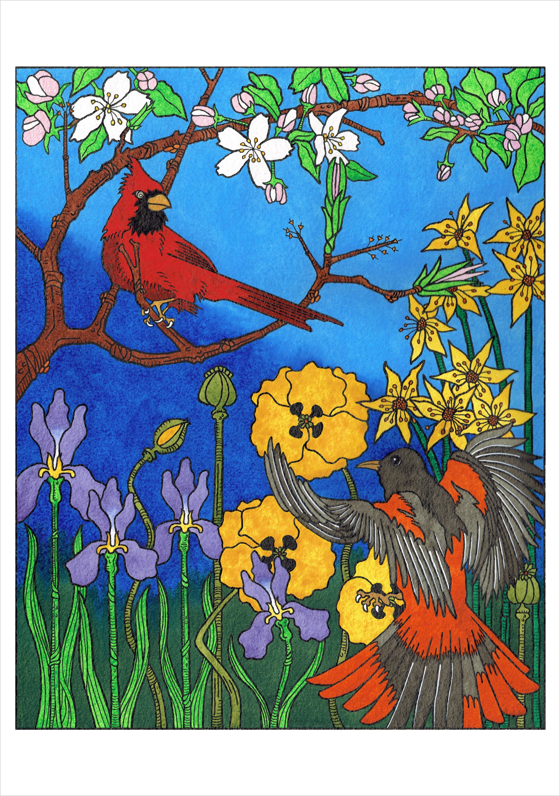 pomegranate-cj-hurley-birds-gru-kartenset-20-karten-v-gel image 5