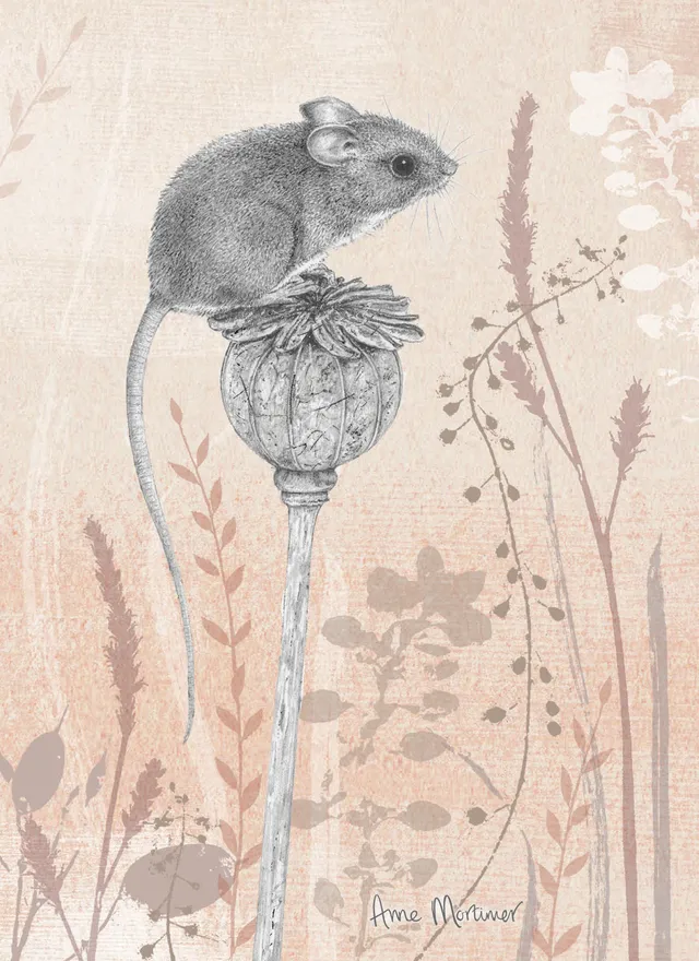otter-house-petals-perches-gru-karte-magnificent-mouse image 1