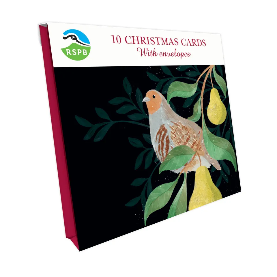 otter-house-partridge-pears-weihnachtskarte-10er-pack-vogel image 1