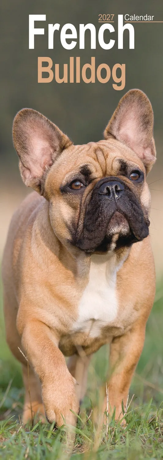 otter-house-french-bulldog-slim-kalender-2027-franz-sische-bulldogge image 1