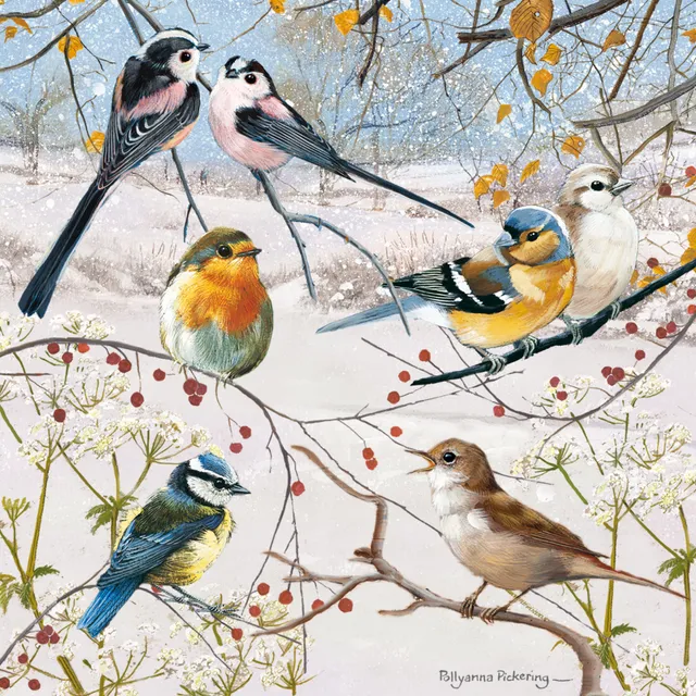 otter-house-christmas-weihnachtskarten-winter-birds-berries image 1