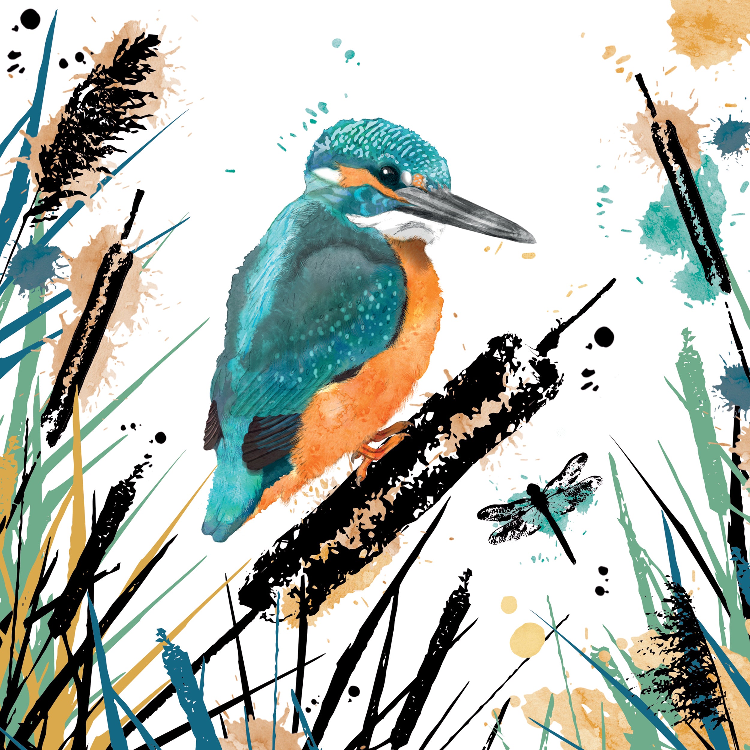 otter-house-rspb-field-forest-kingfisher-gru-karte-eisvogel image 1