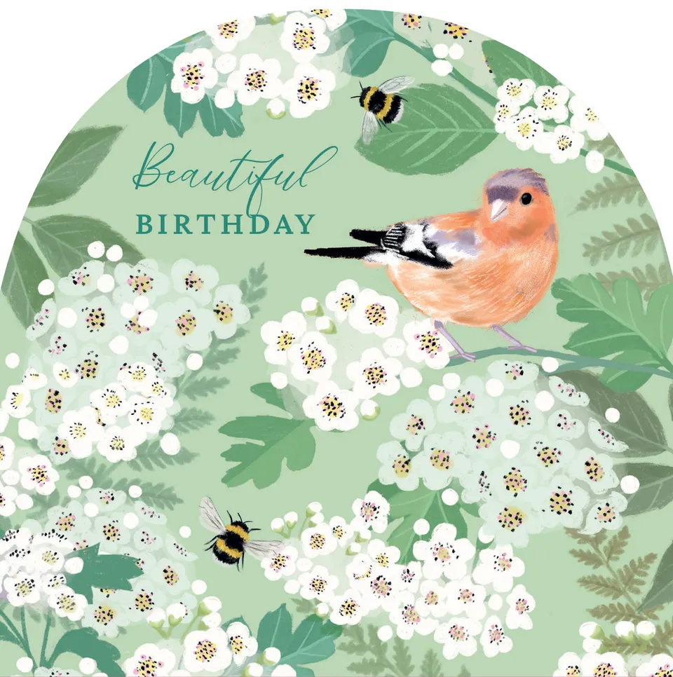 otter-house-rspb-gru-karte-white-blossom-chaffinch-vogel image 1