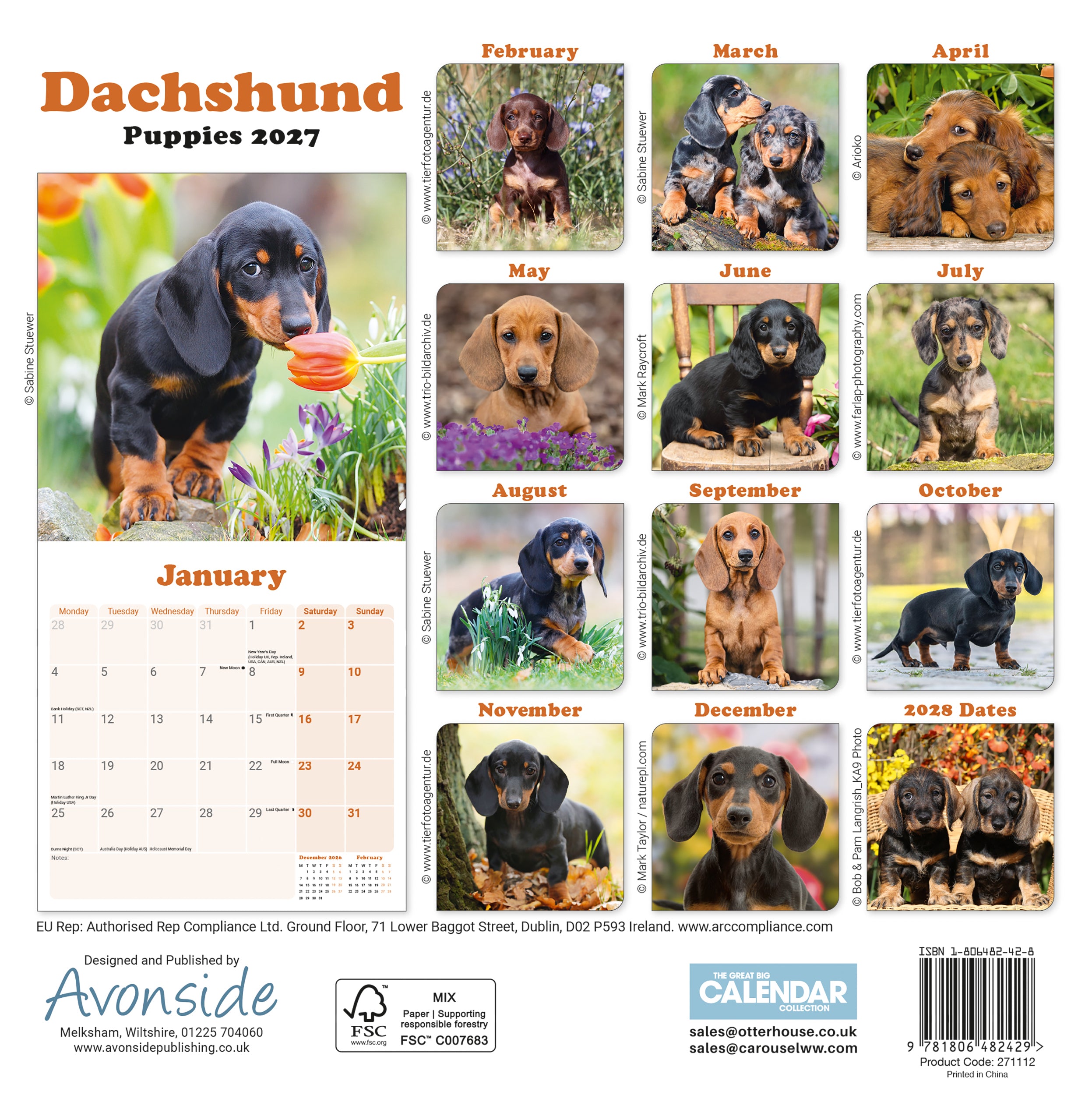 otter-house-dachshund-puppies-mini-wandkalender-2027-dackel image 2