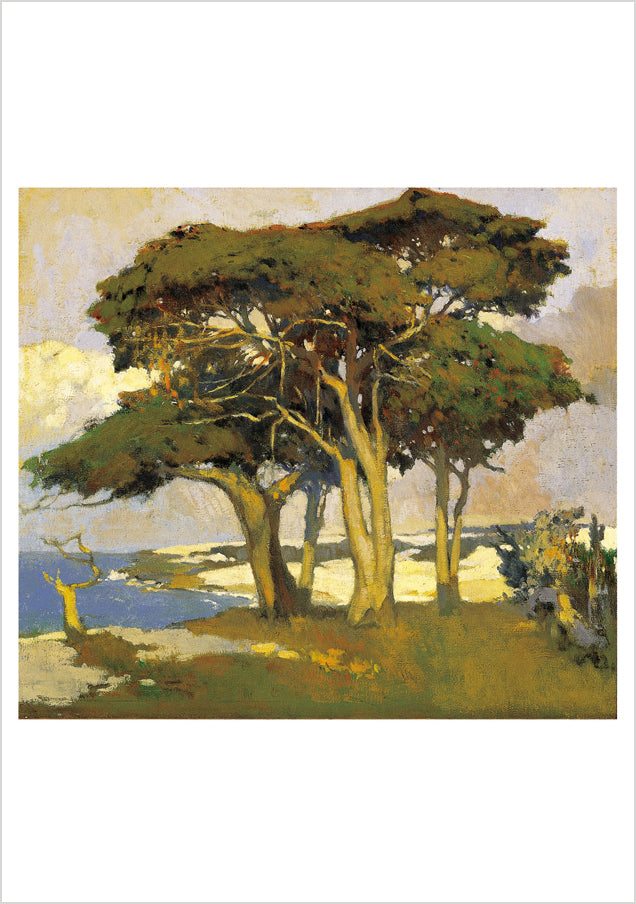 pomegranate-arthur-f-mathews-cypresses-gru-karten-set-zypressen image 2