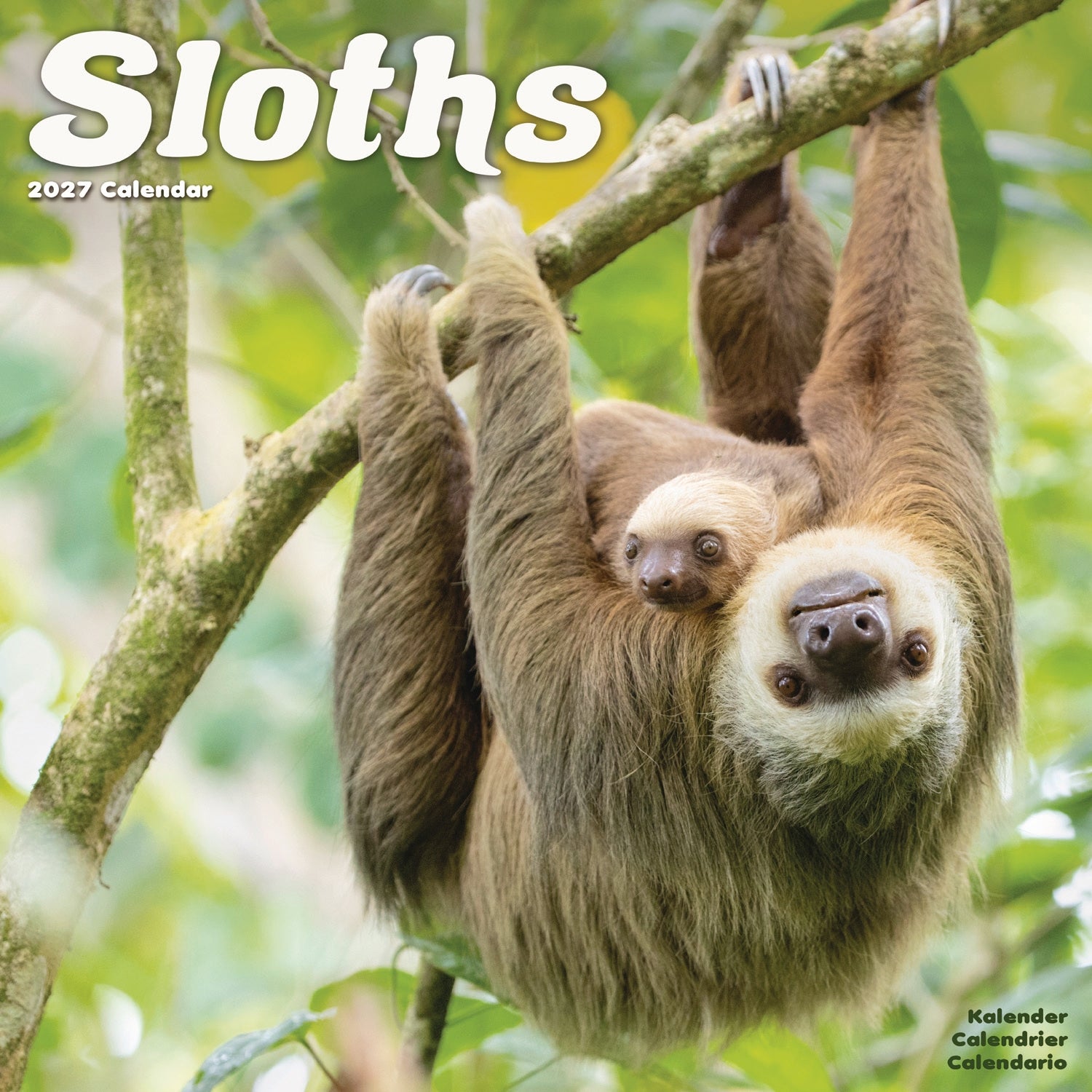 otter-house-sloths-wandkalender-2027-faultier image 1