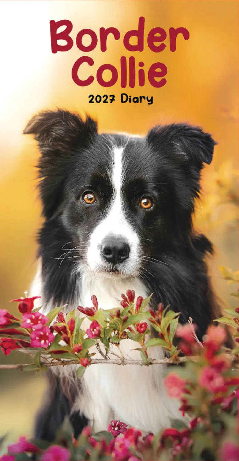 otter-house-border-collies-slim-diary-2027-taschenkalender image 1