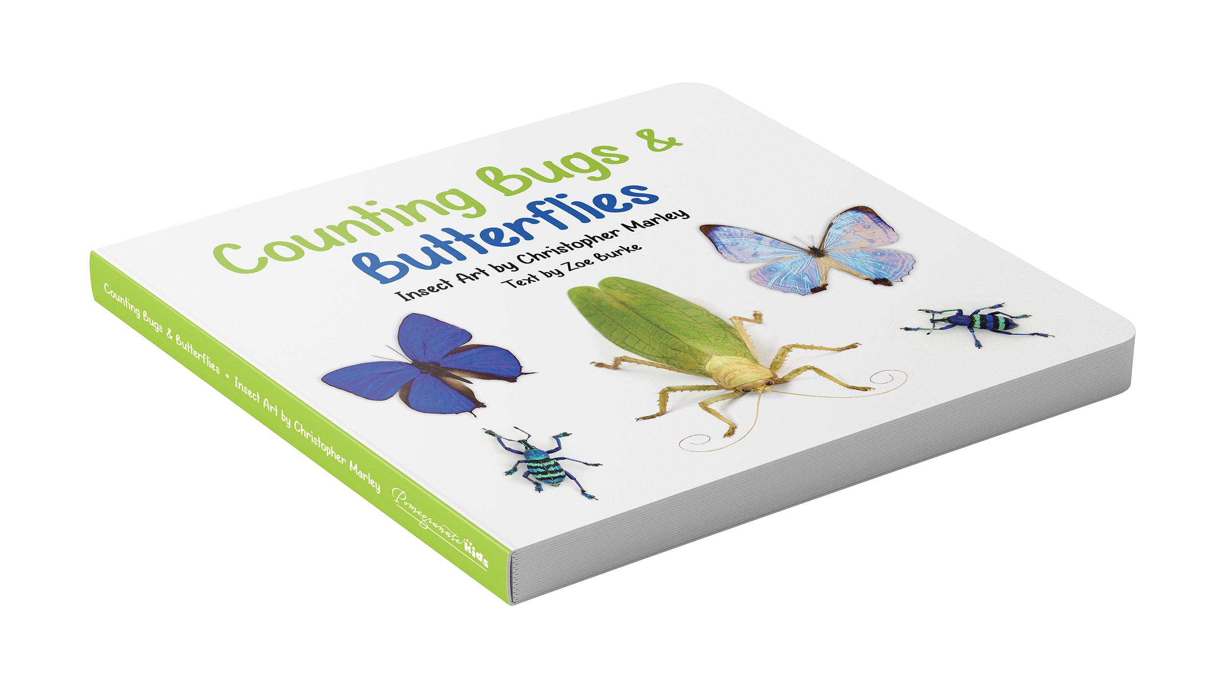 pomegranate-counting-bugs-butterflies-pappbilderbuch-insekten image 3