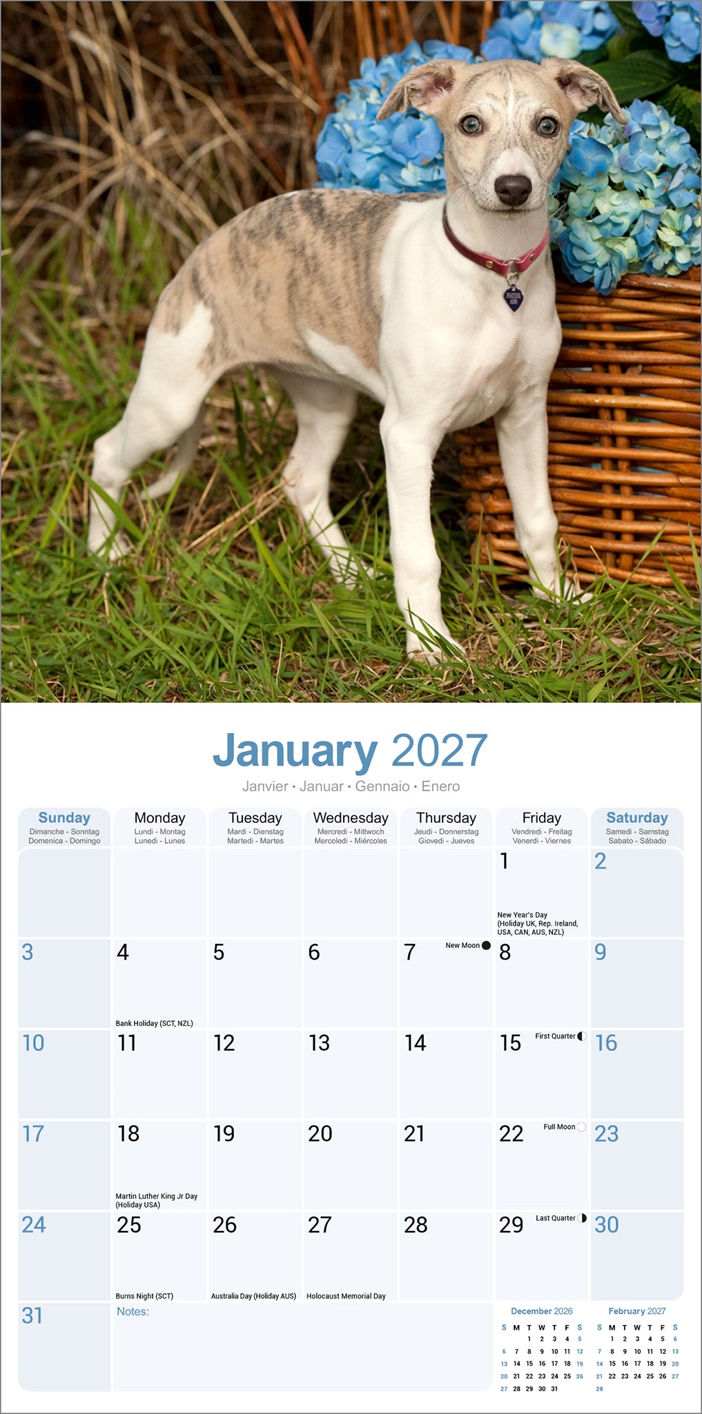 otter-house-whippet-wandkalender-2027-hundekalender image 3