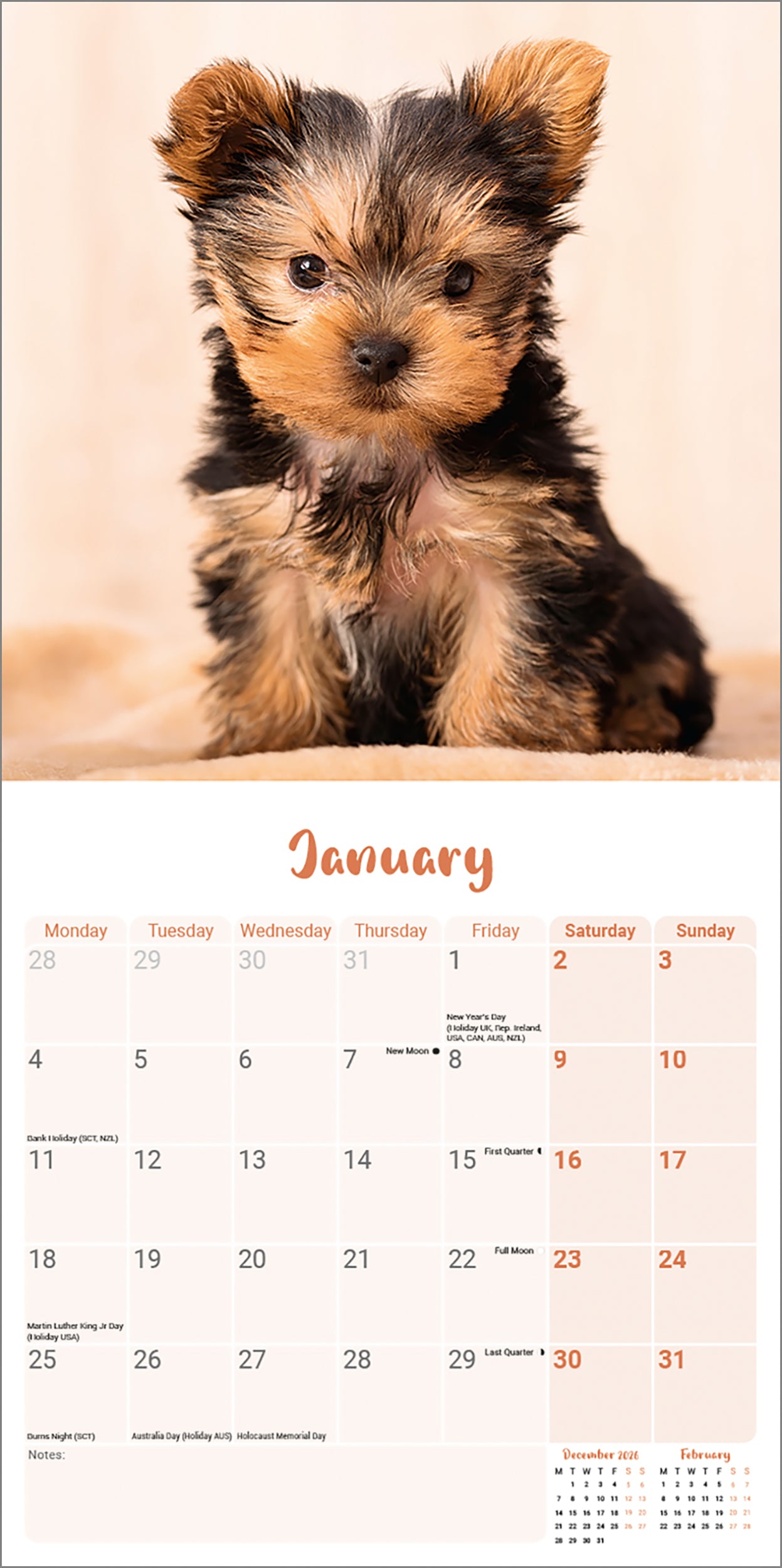 otter-house-yorkshire-terrier-puppies-mini-kalender-2027-hunde image 3