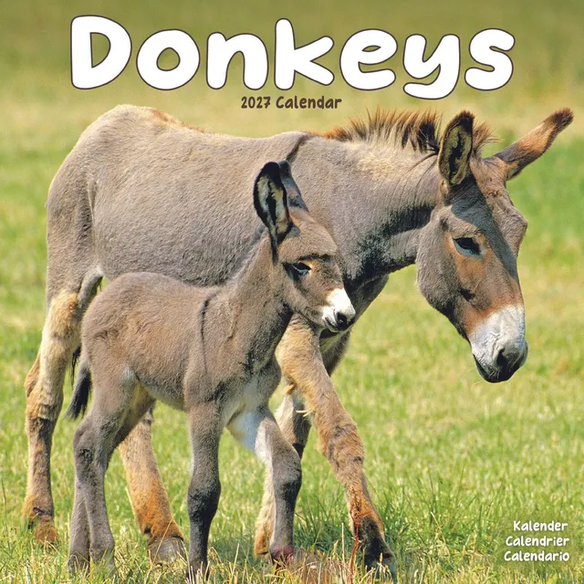 otter-house-donkeys-wandkalender-2027-esel image 1