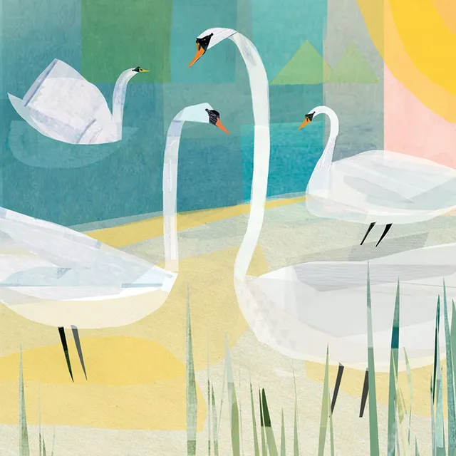 otter-house-quayside-gallery-gru-karte-swans-schw-ne image 1