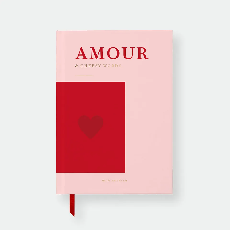 all-the-ways-to-say-amour-notizbuch-a5-liniert-rosa image 1