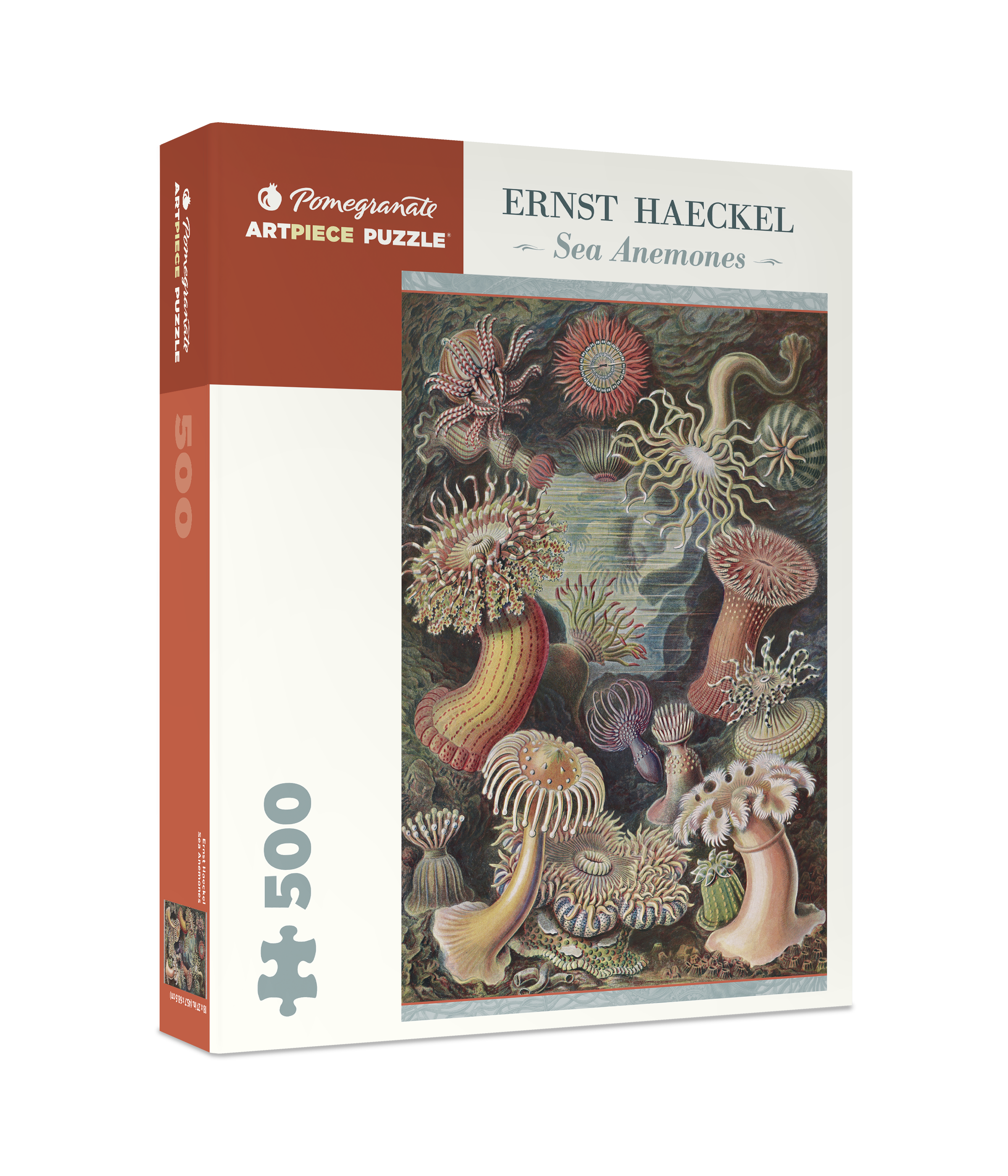 pomegranate-ernst-haeckel-seeanemonen-puzzle-500-teile image 1
