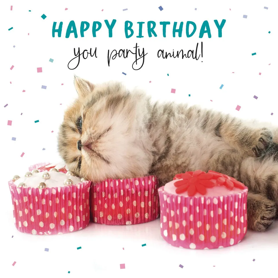 otter-house-pet-pawtrait-party-animal-geburtstagskarte-katze image 1