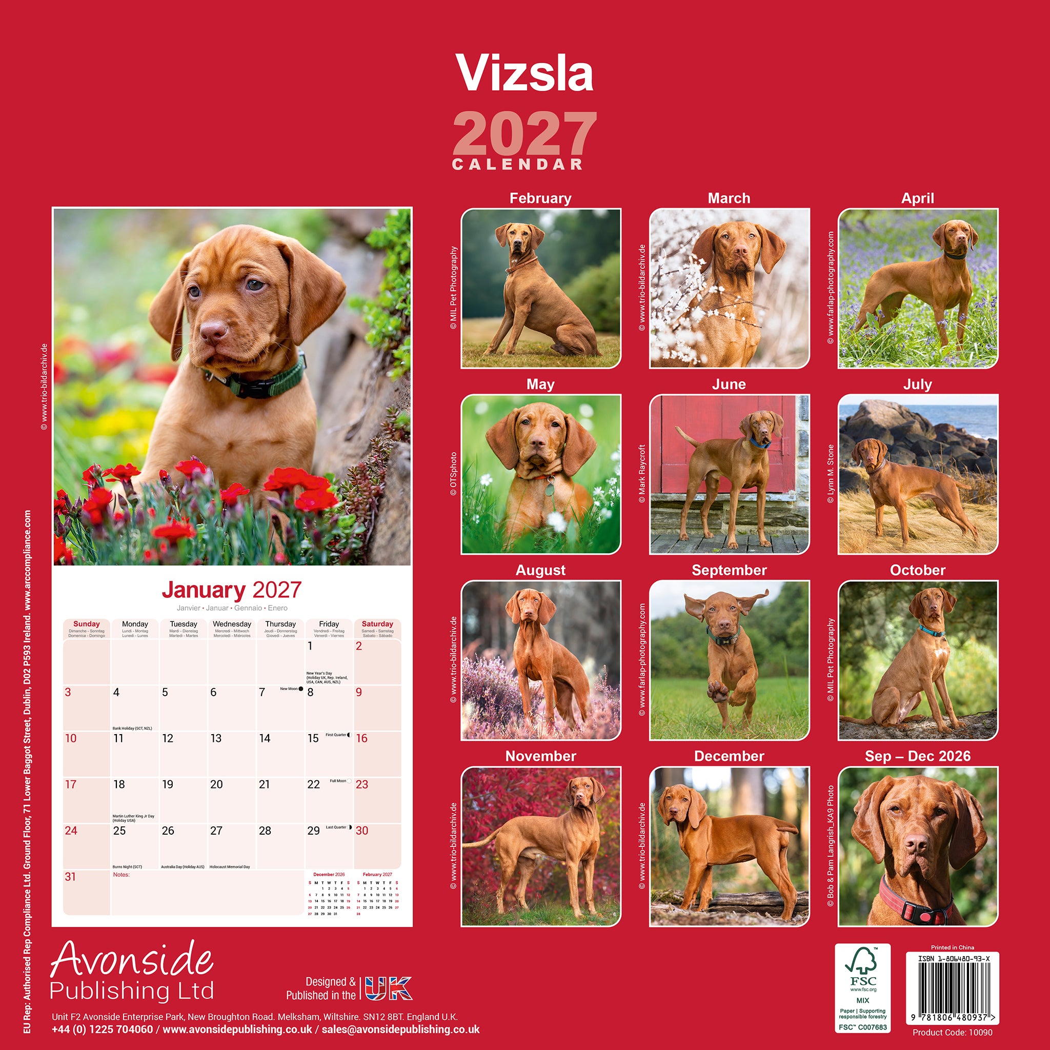 otter-house-vizsla-wandkalender-2027-hunde image 2