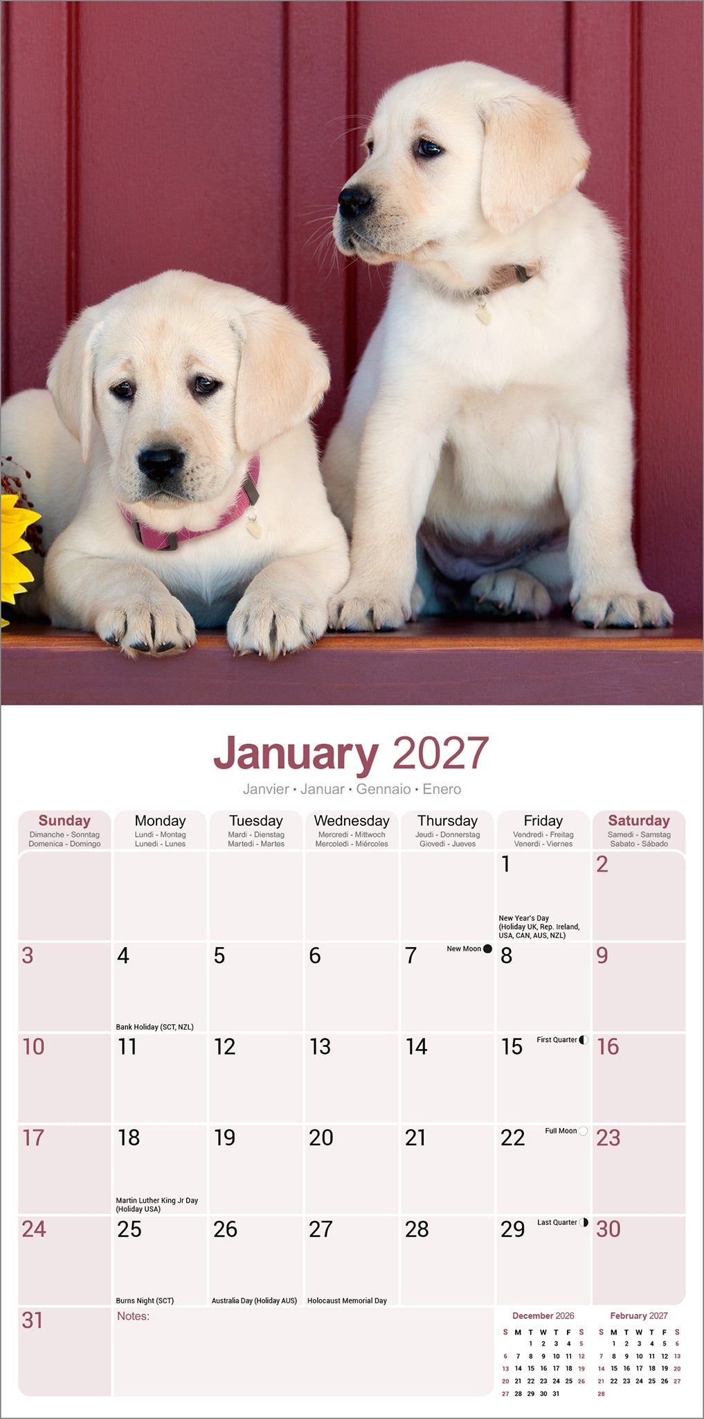 otter-house-labrador-retriever-wandkalender-2027-hund image 3
