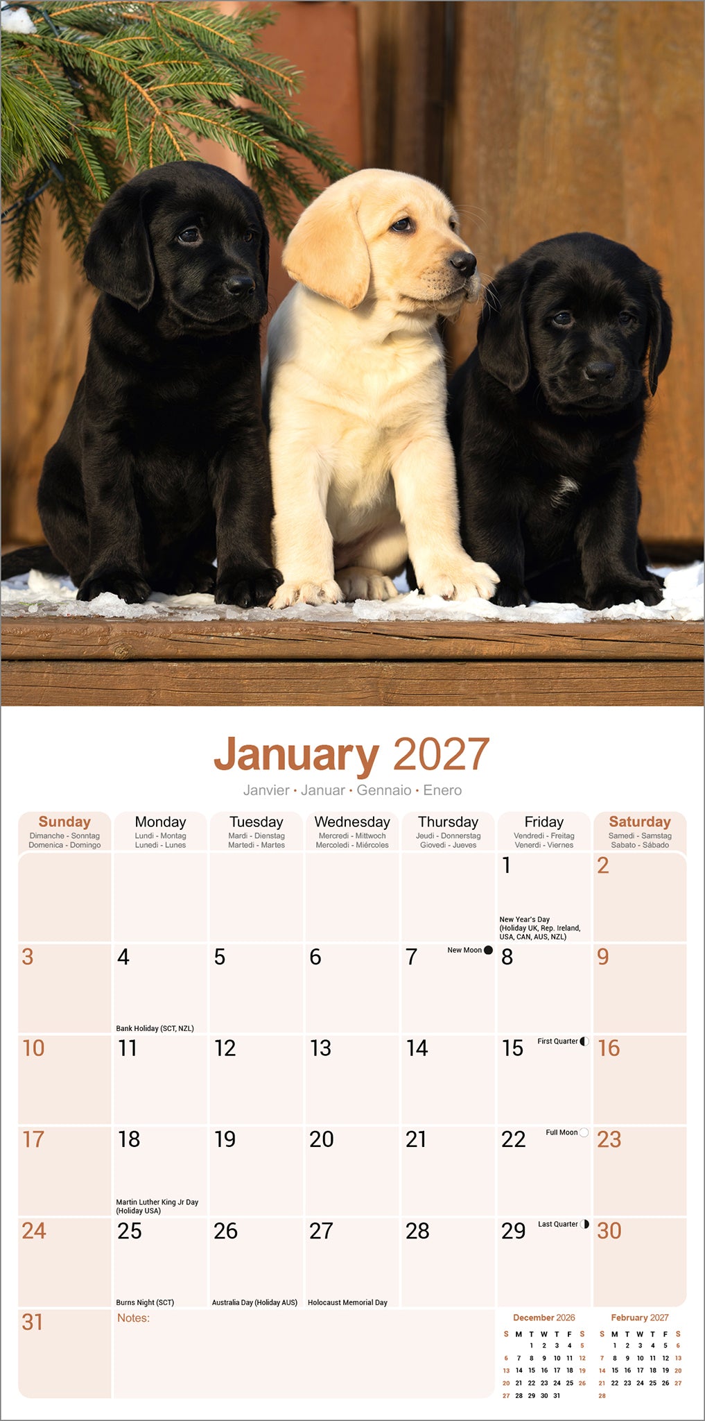 otter-house-labrador-retrievers-wandkalender-2027-hunde image 3