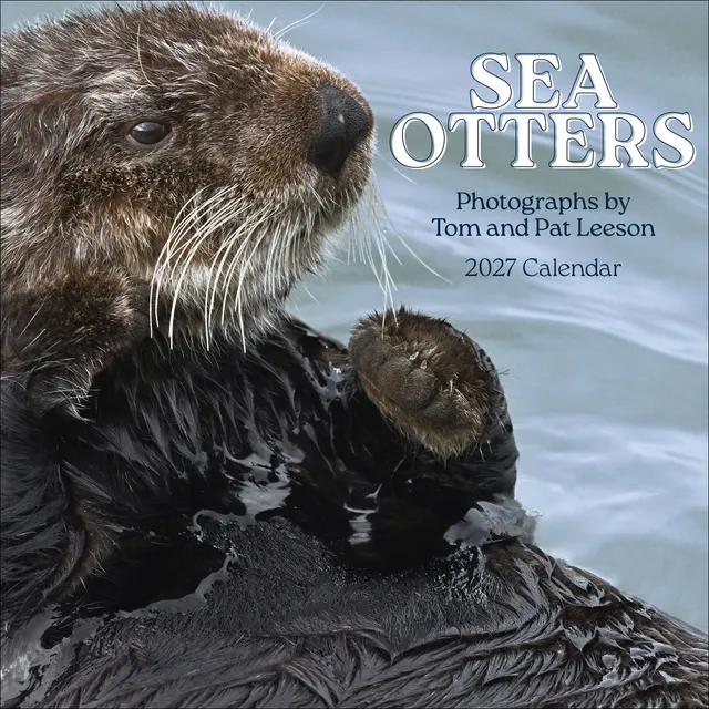 pomegranate-sea-otters-leeson-2027-wandkalender-foto image 1