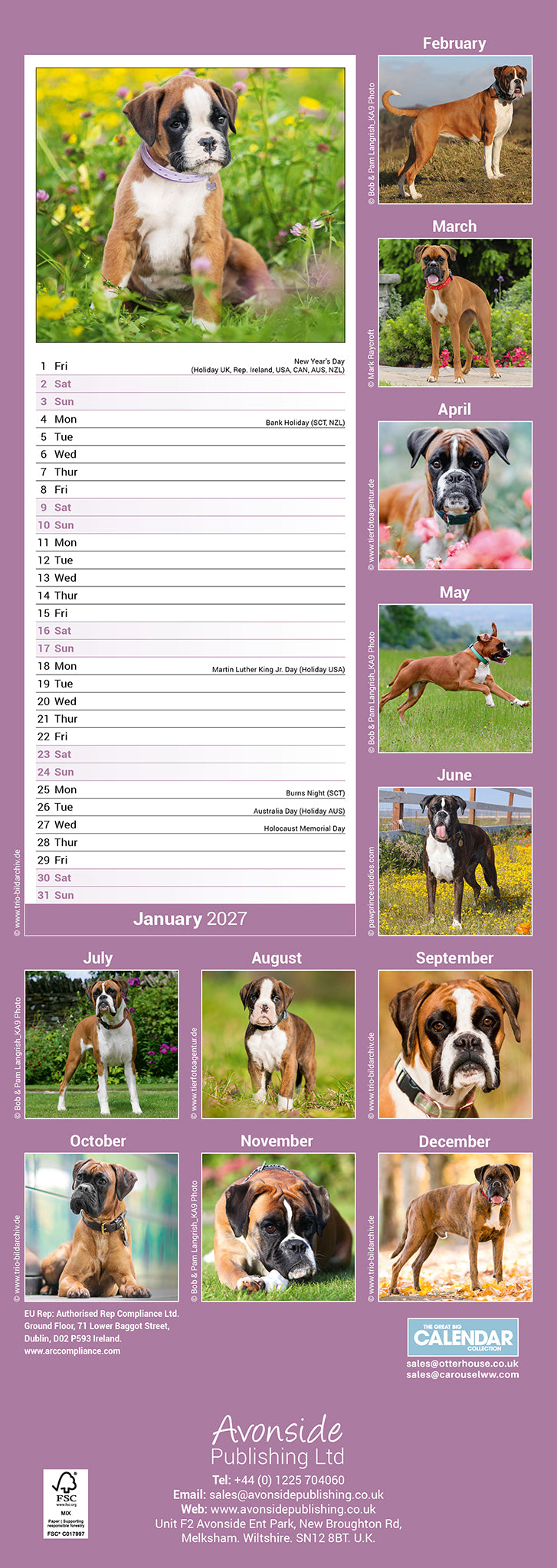 otter-house-boxer-slim-kalender-2027-hunde-schmal image 2
