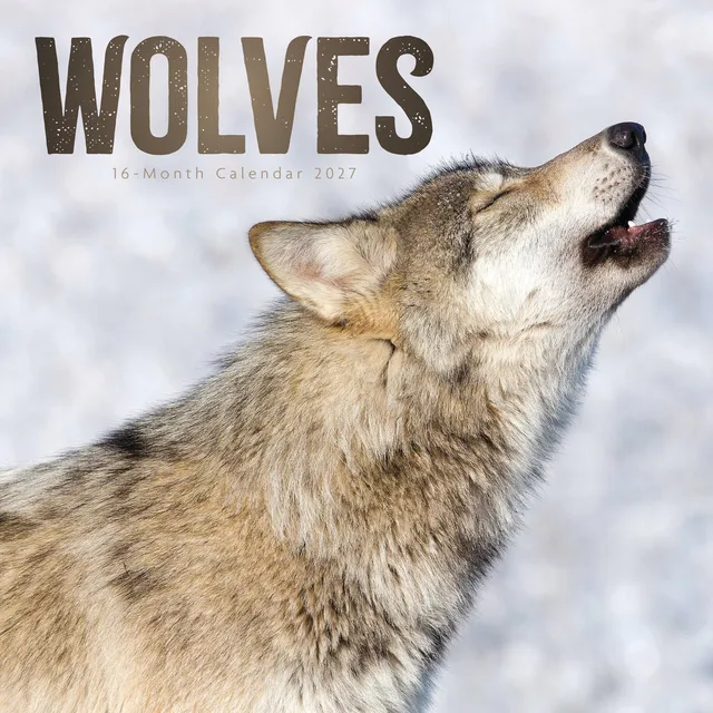 otter-house-wolves-wandkalender-2027-mit-tierbildern image 1