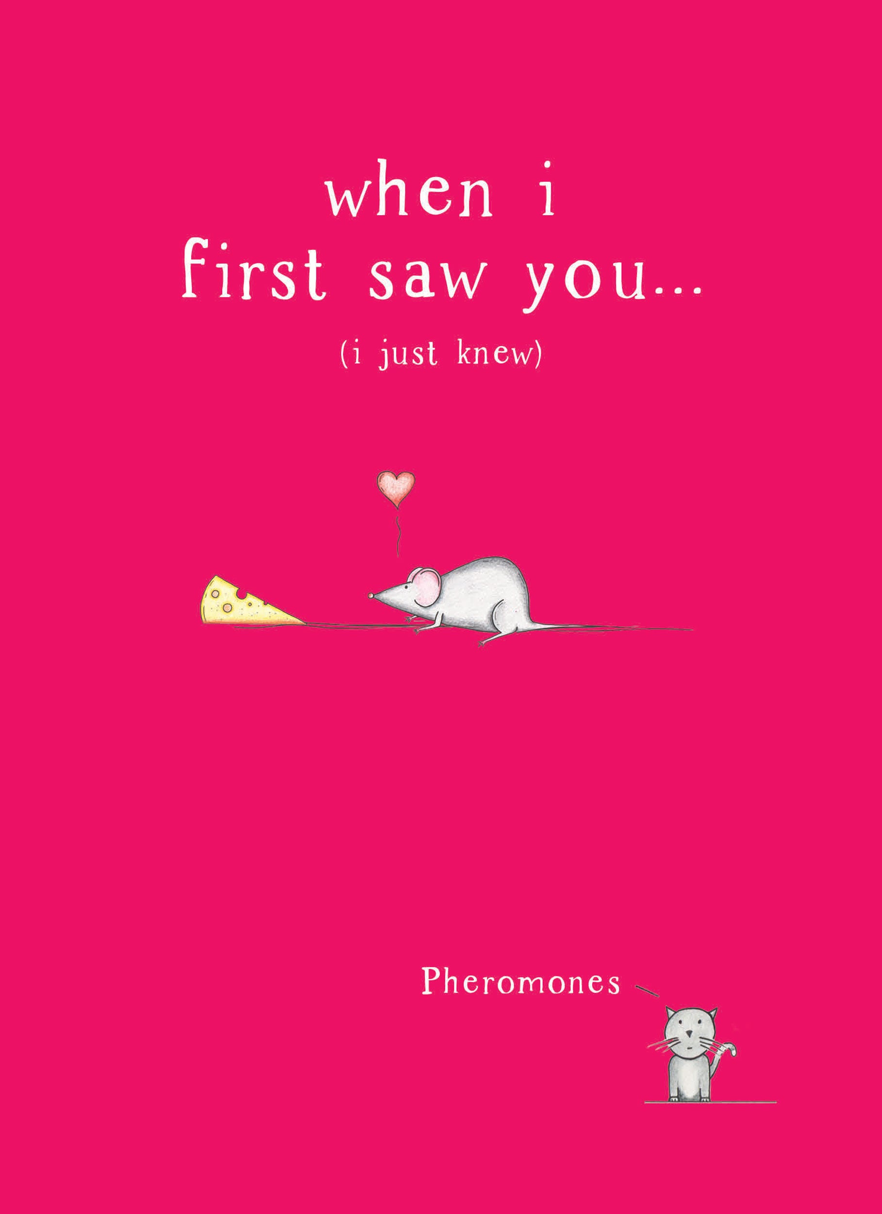 otter-house-greetings-cards-when-i-first-saw-you-valentinskarte image 1