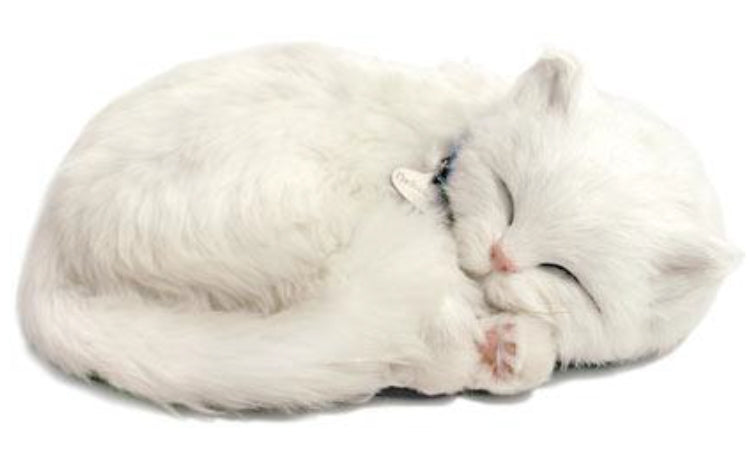 otter-house-precious-petzzz-weisse-katze-pl-sch-mit-bett image 1