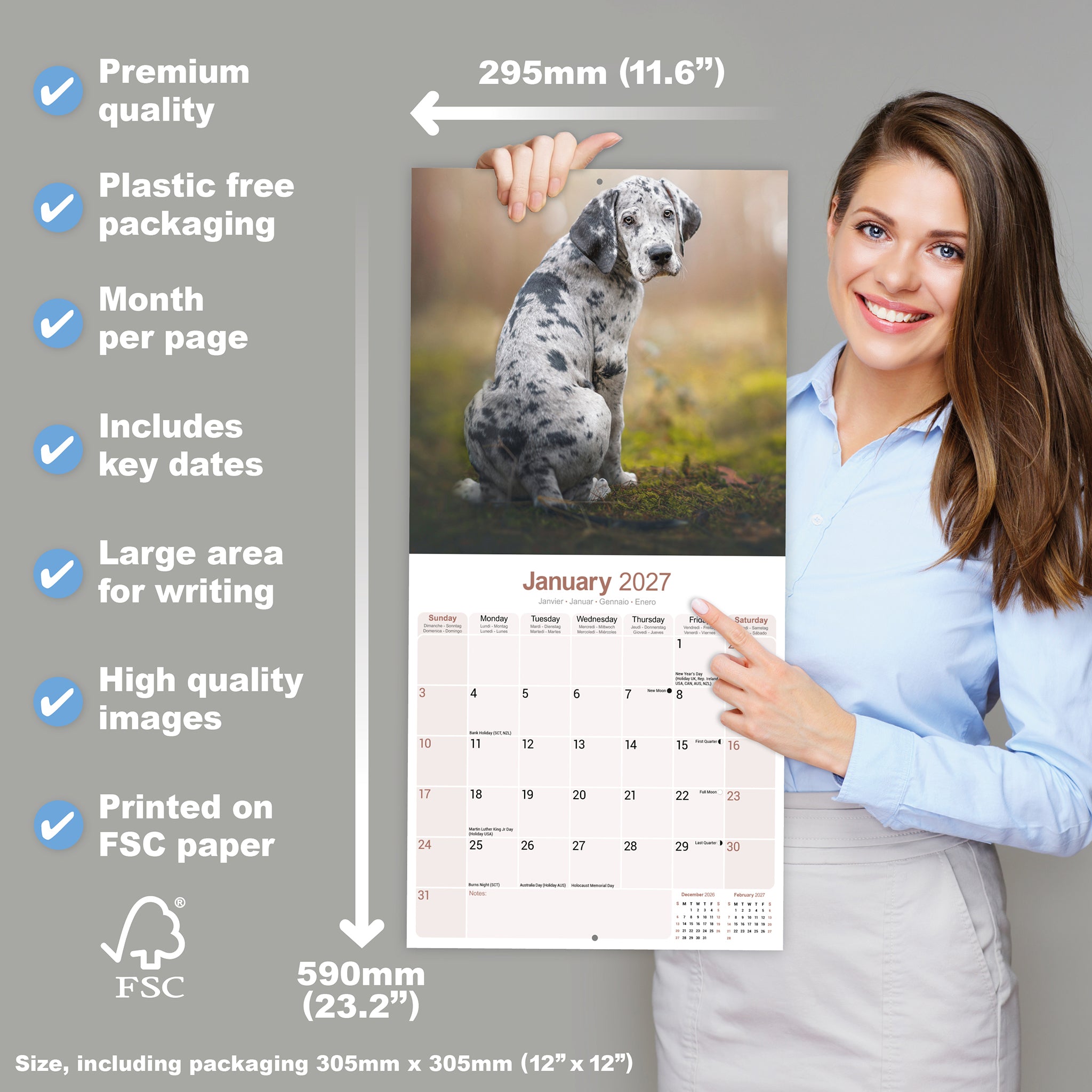 otter-house-great-dane-wandkalender-2027-deutsche-dogge image 4