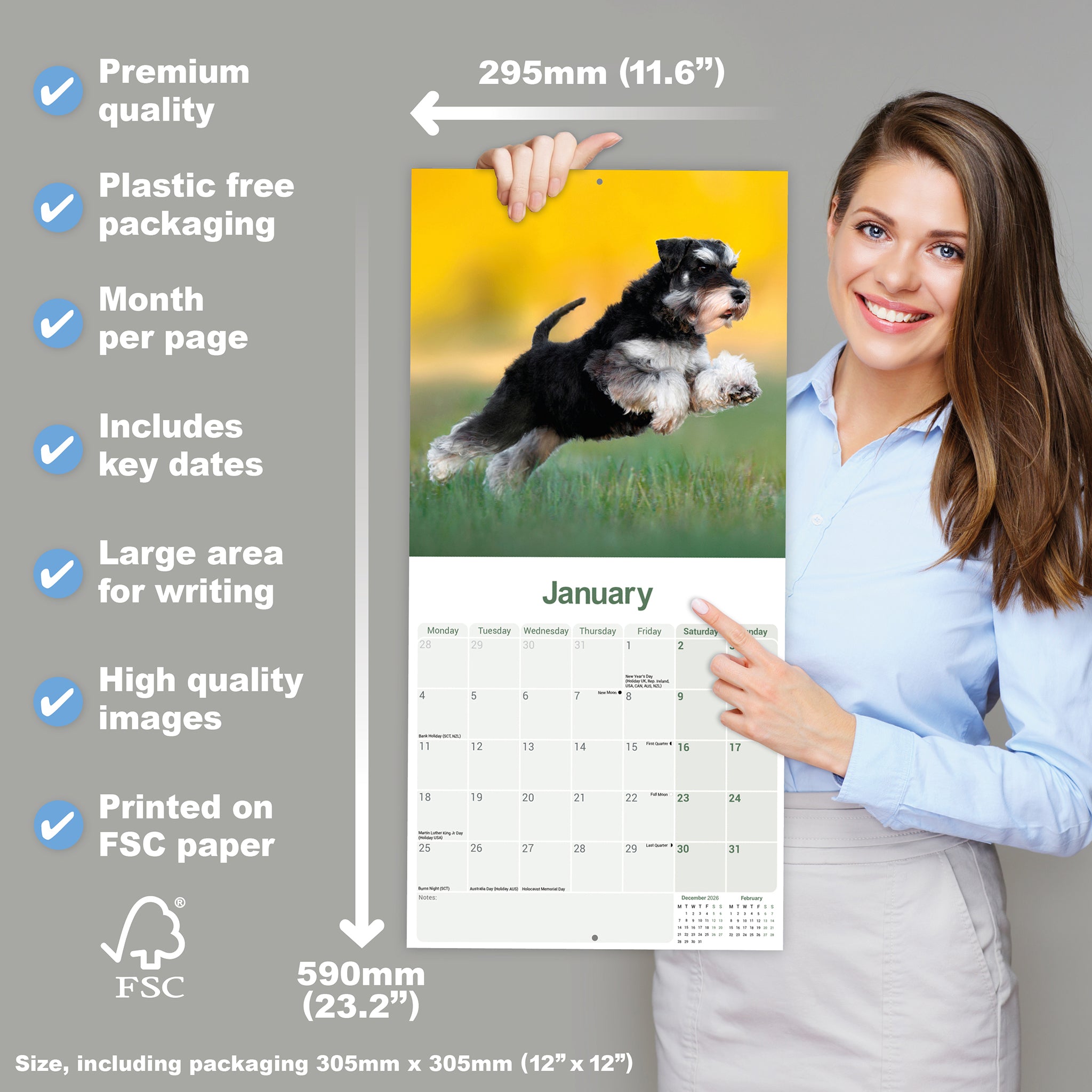 otter-house-schnauzer-miniature-wandkalender-2027-hunde image 4