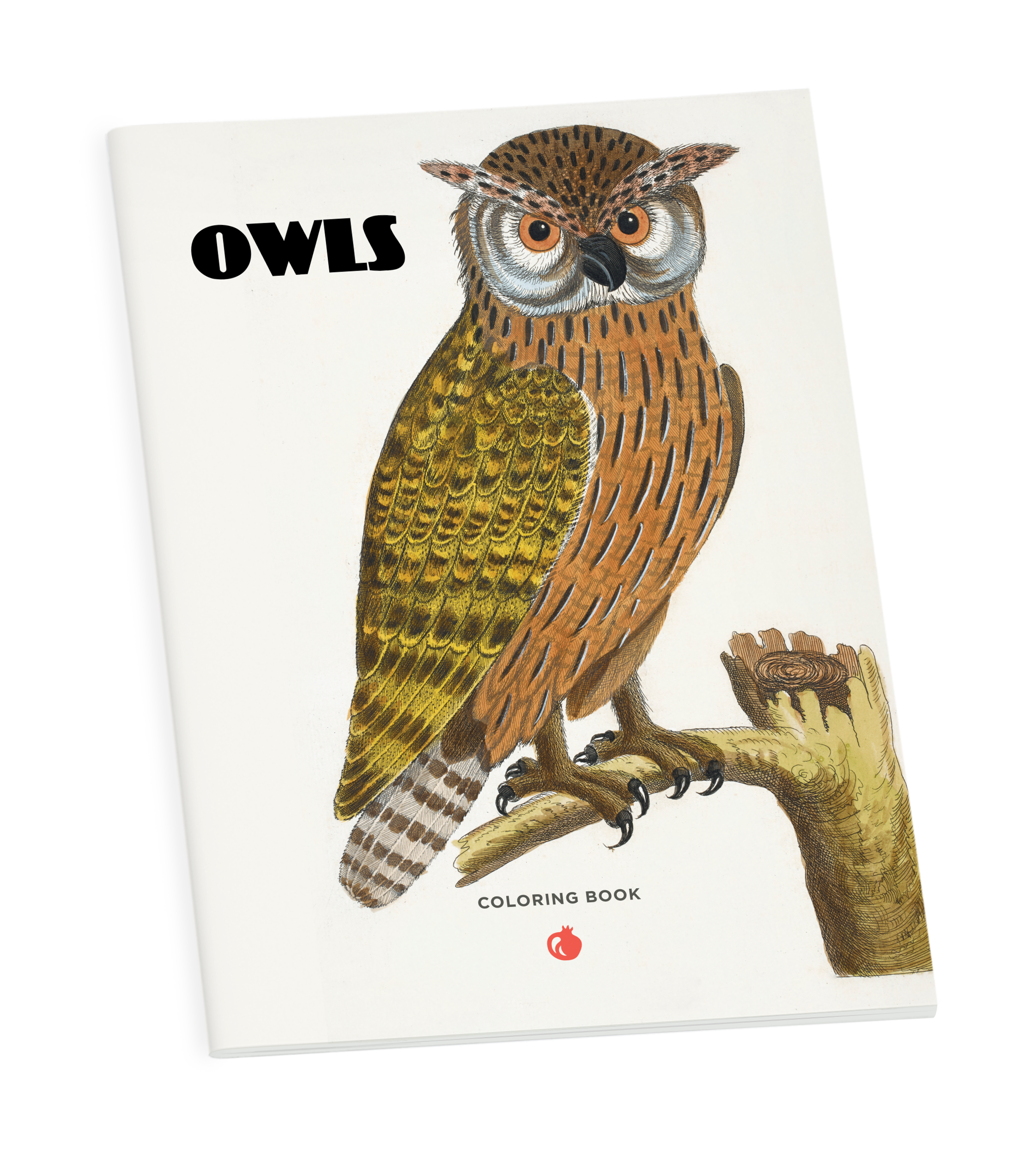 pomegranate-owls-malbuch-eulen-ausmalbuch-v-gel image 1