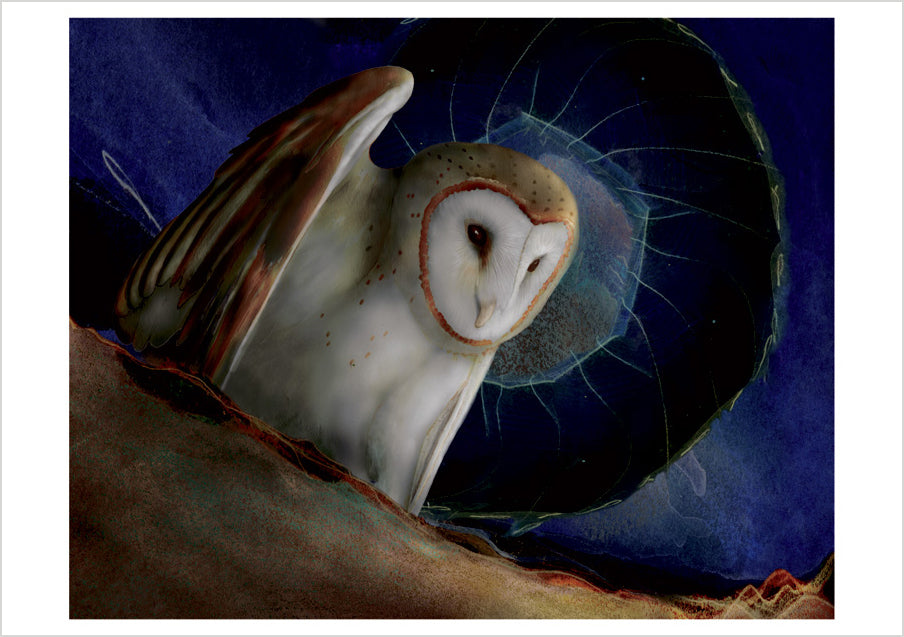 pomegranate-boxed-barn-owls-chappell-kartenbox-20-eulen image 4