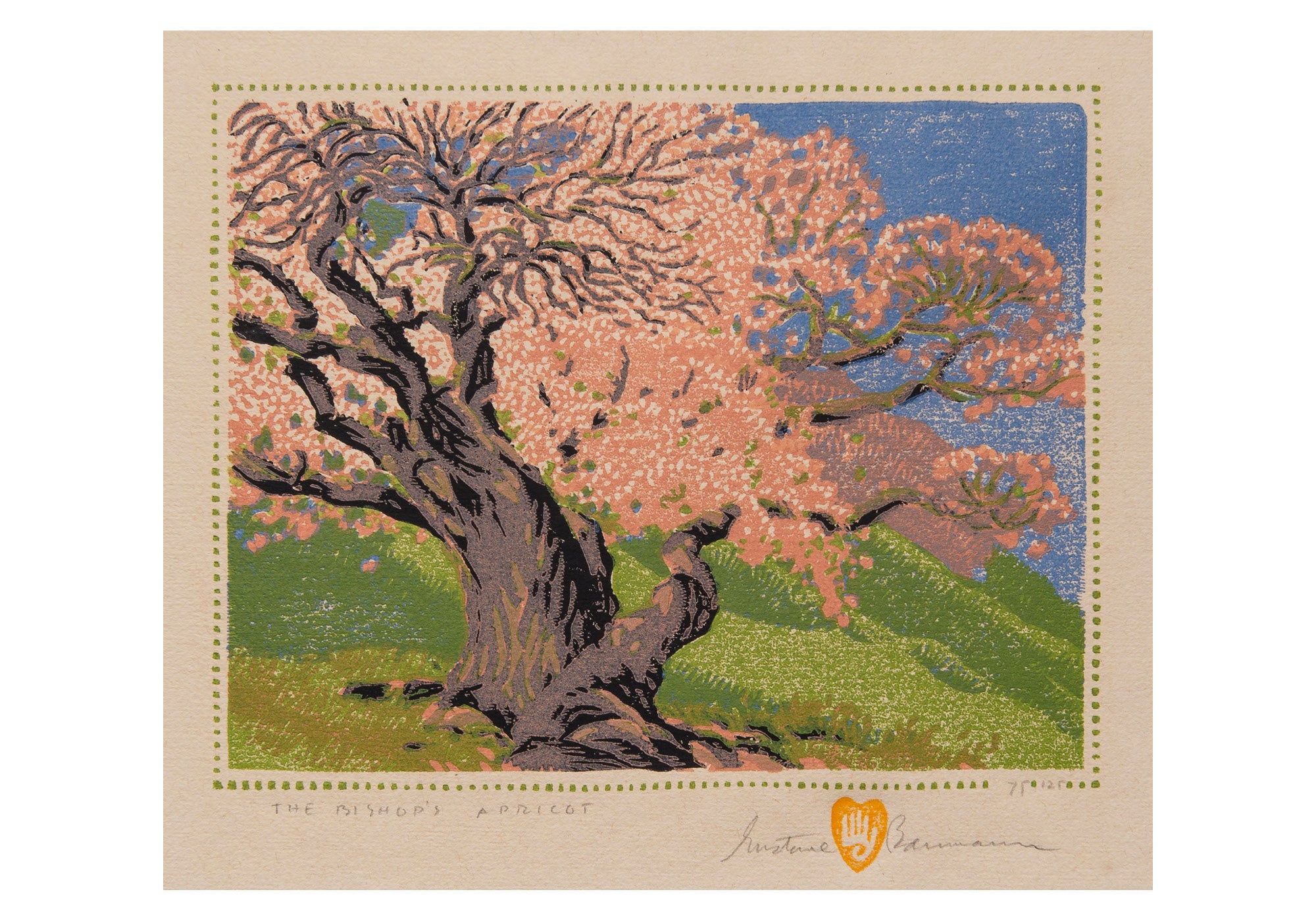 pomegranate-baumann-bishop-s-apricot-kartenset-box-landschaft image 2