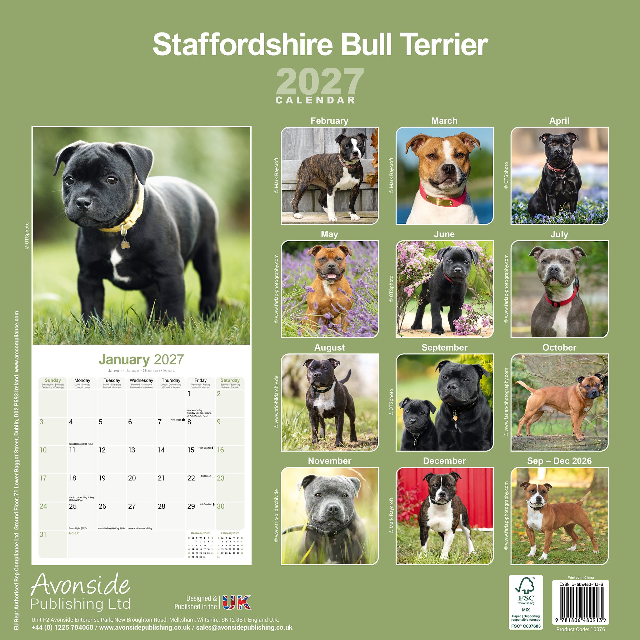 otter-house-staffordshire-bull-terrier-wandkalender-2027-2 image 2
