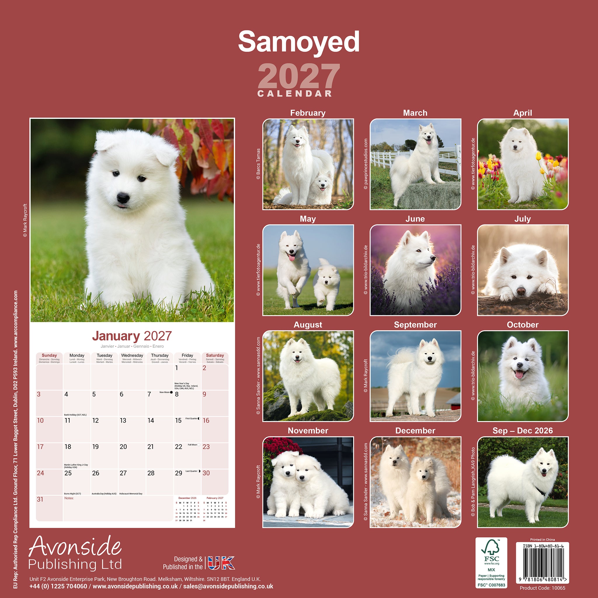 otter-house-samoyed-wandkalender-2027-hunde-motiv image 2