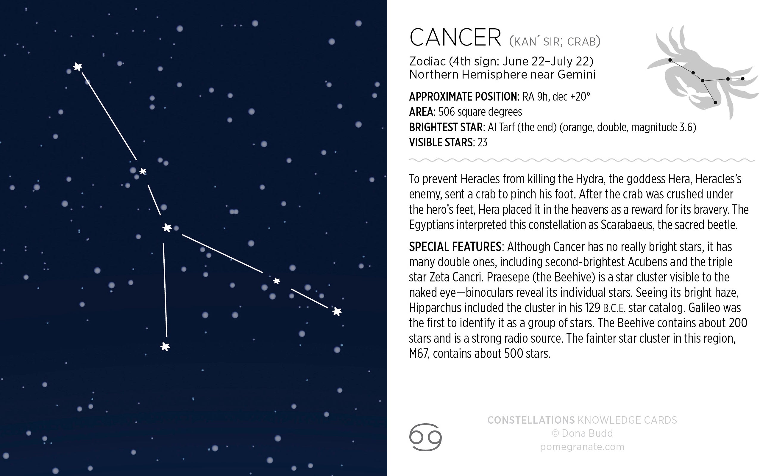 pomegranate-constellations-knowledge-cards-sternbilder-lernkarten image 5