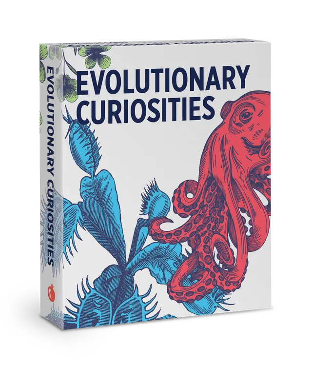 pomegranate-knowledge-cards-evolutionary-curiosities-lernkarten-evolution image 1