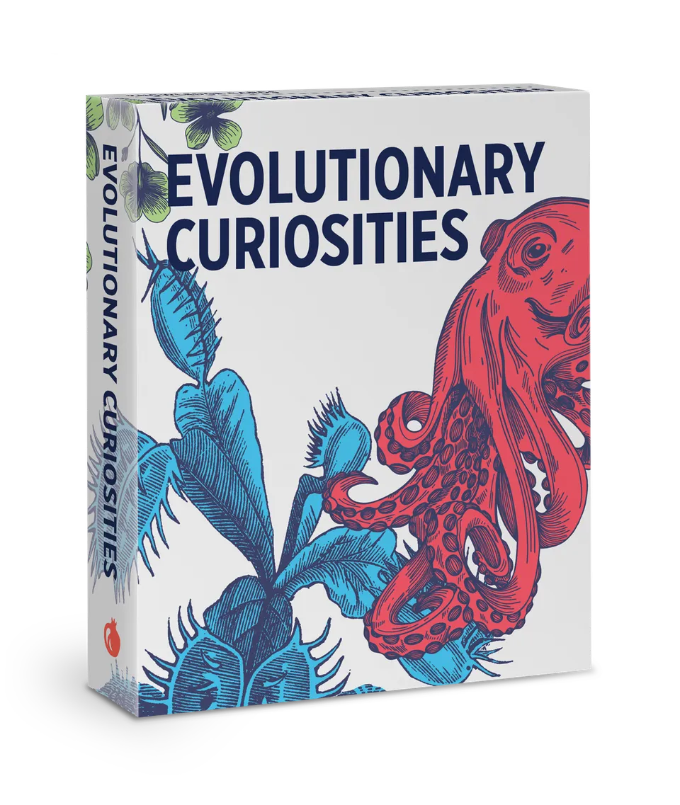 pomegranate-knowledge-cards-evolutionary-curiosities-lernkarten-evolution image 1