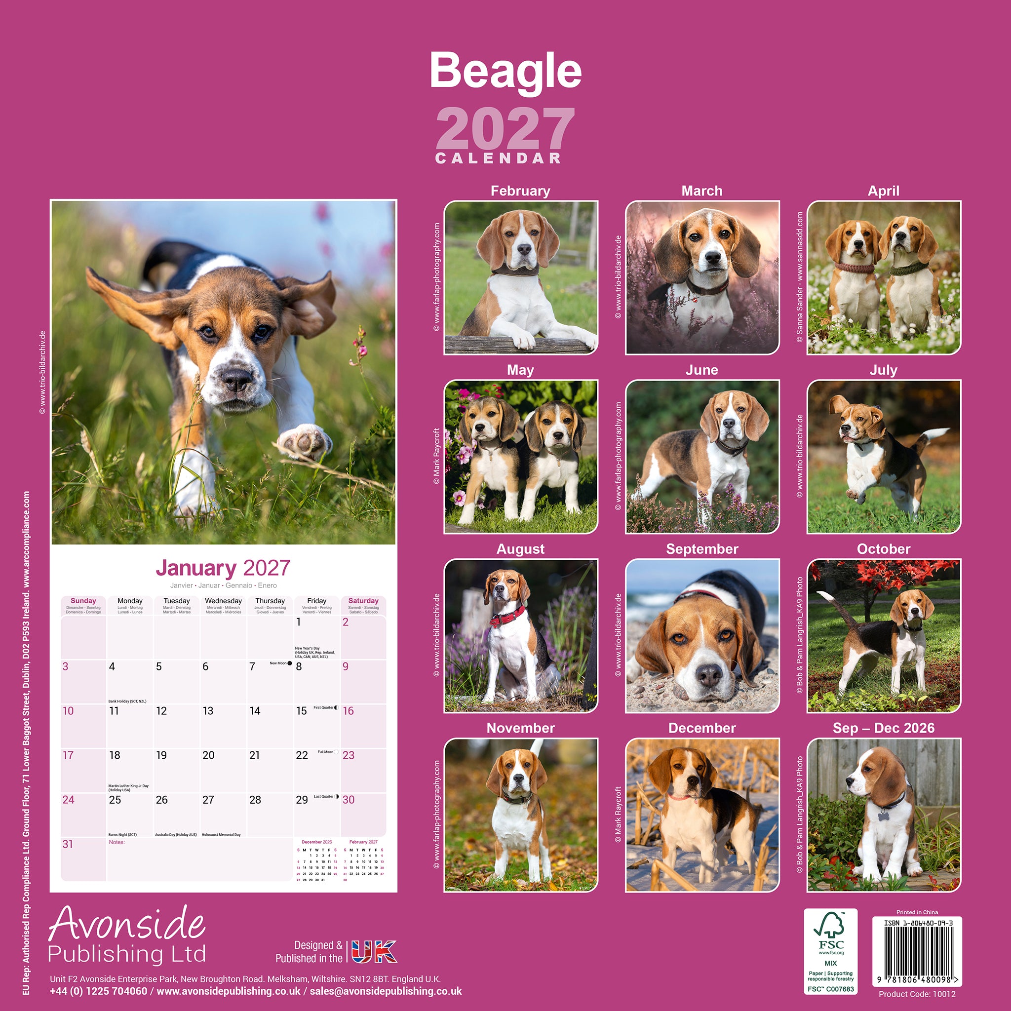 otter-house-beagle-wandkalender-2027-hunde-bilderkalender image 2