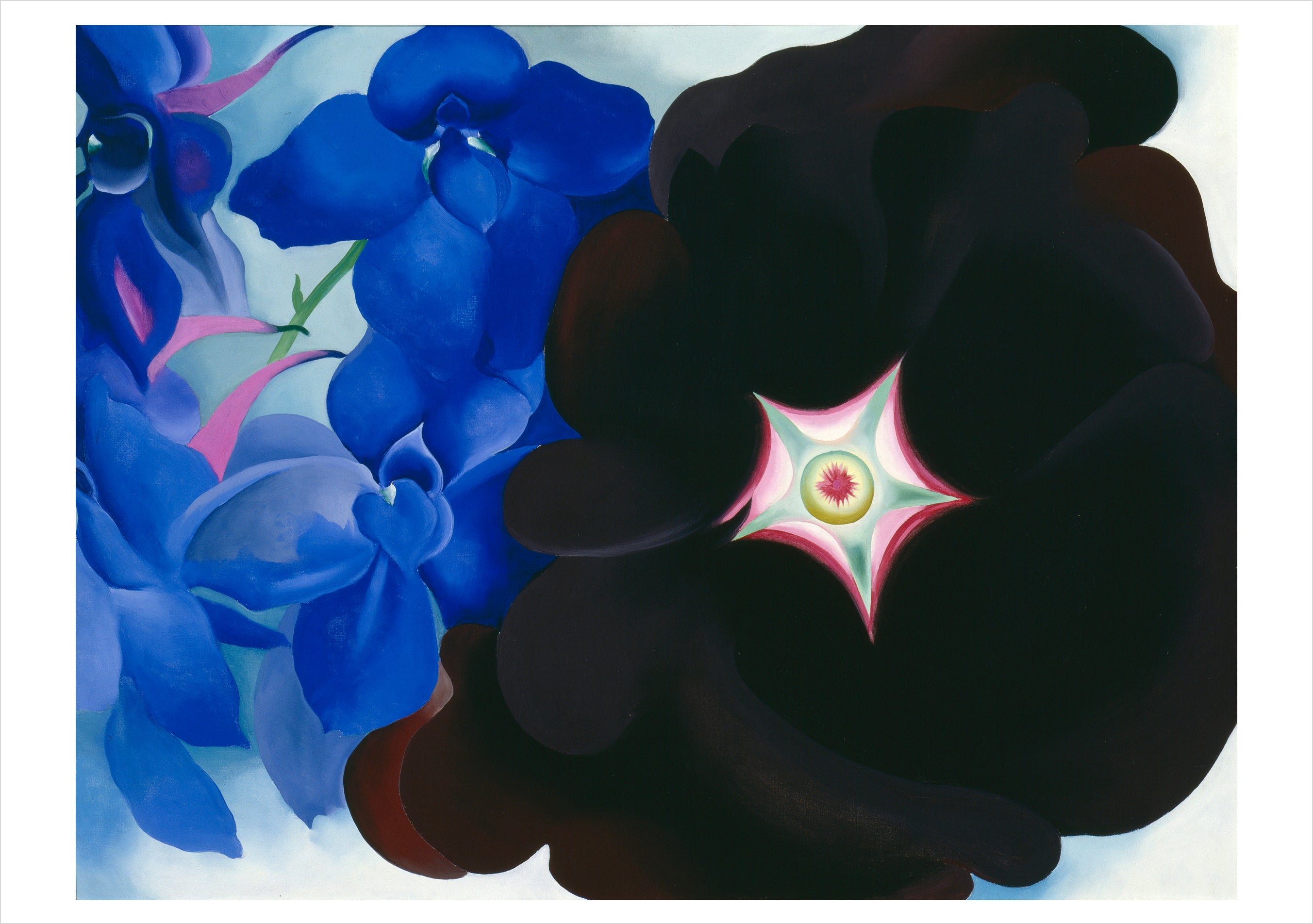 pomegranate-georgia-o-keeffe-blumen-klappkarten-box-20-karten image 5