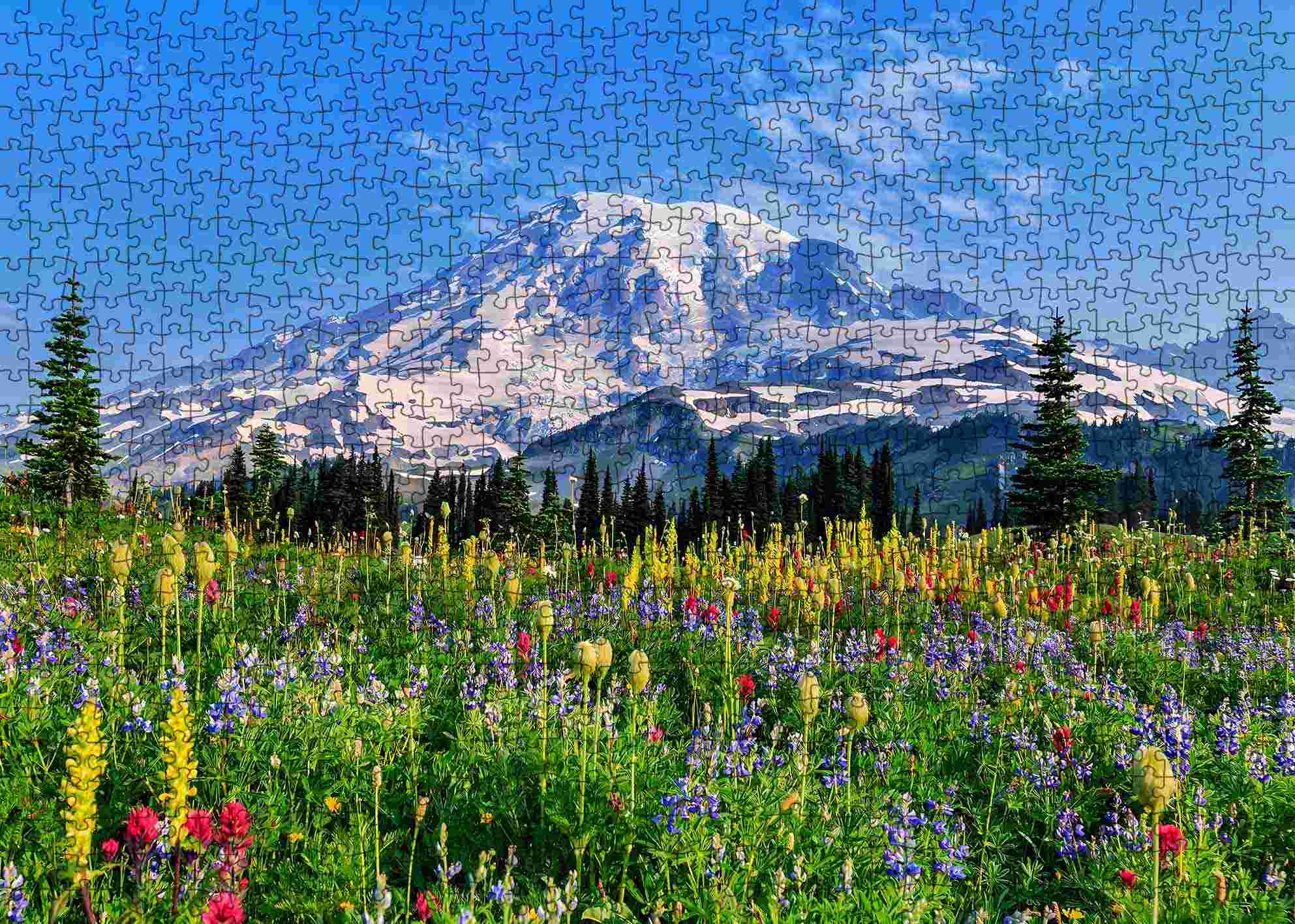 tucocoo-mount-rainier-puzzle-1000-teile-landschaft image 2
