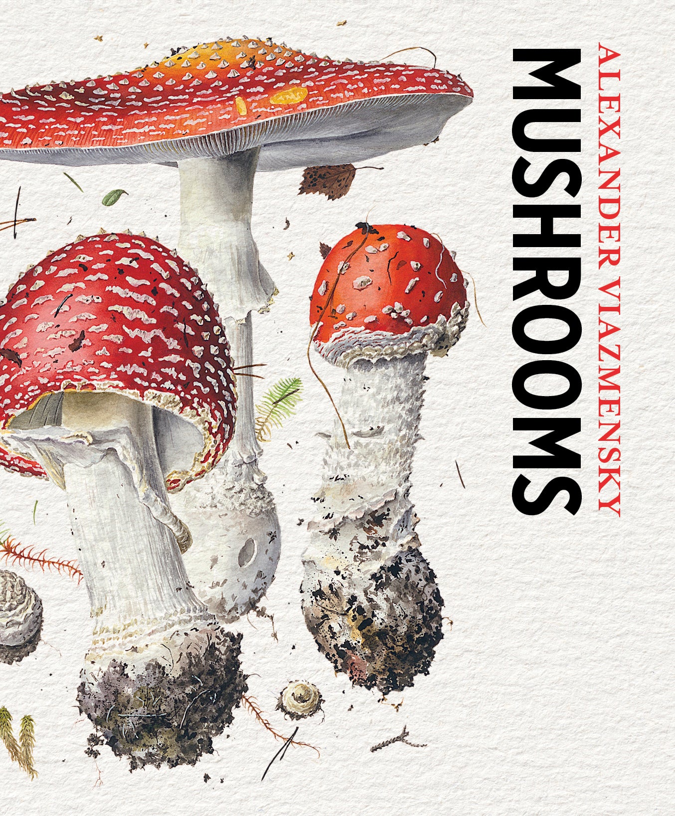 pomegranate-mushrooms-knowledge-cards-pilze-lernkarten-48-karten image 2