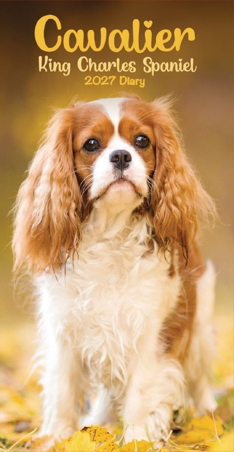 otter-house-cavalier-king-charles-spaniels-slim-diary-2027-kalender image 1