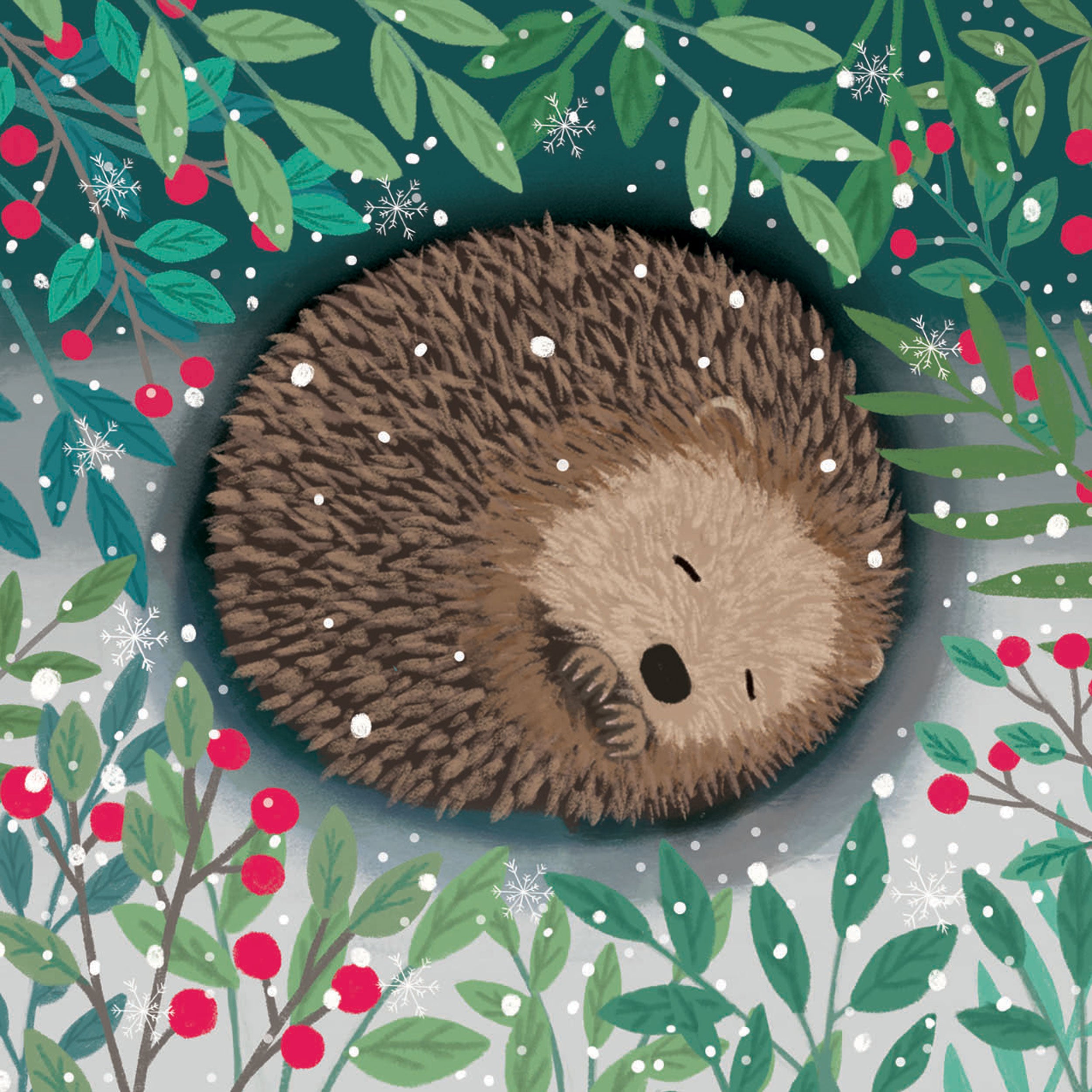 otter-house-rspb-weihnachtskarten-10er-igel-quadratisch image 1