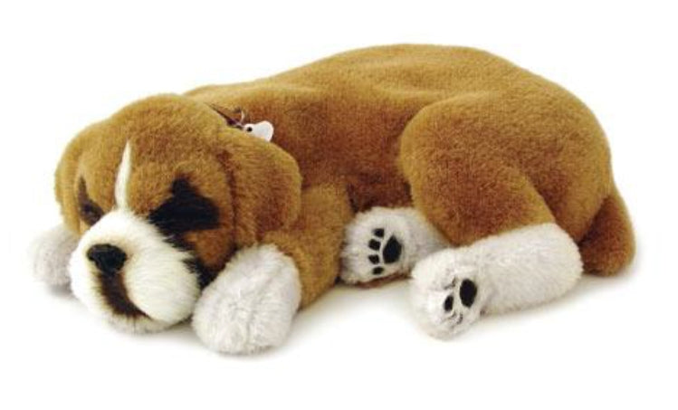 otter-house-precious-petzzz-boxer-pl-schtier-mit-bett-atmend image 1