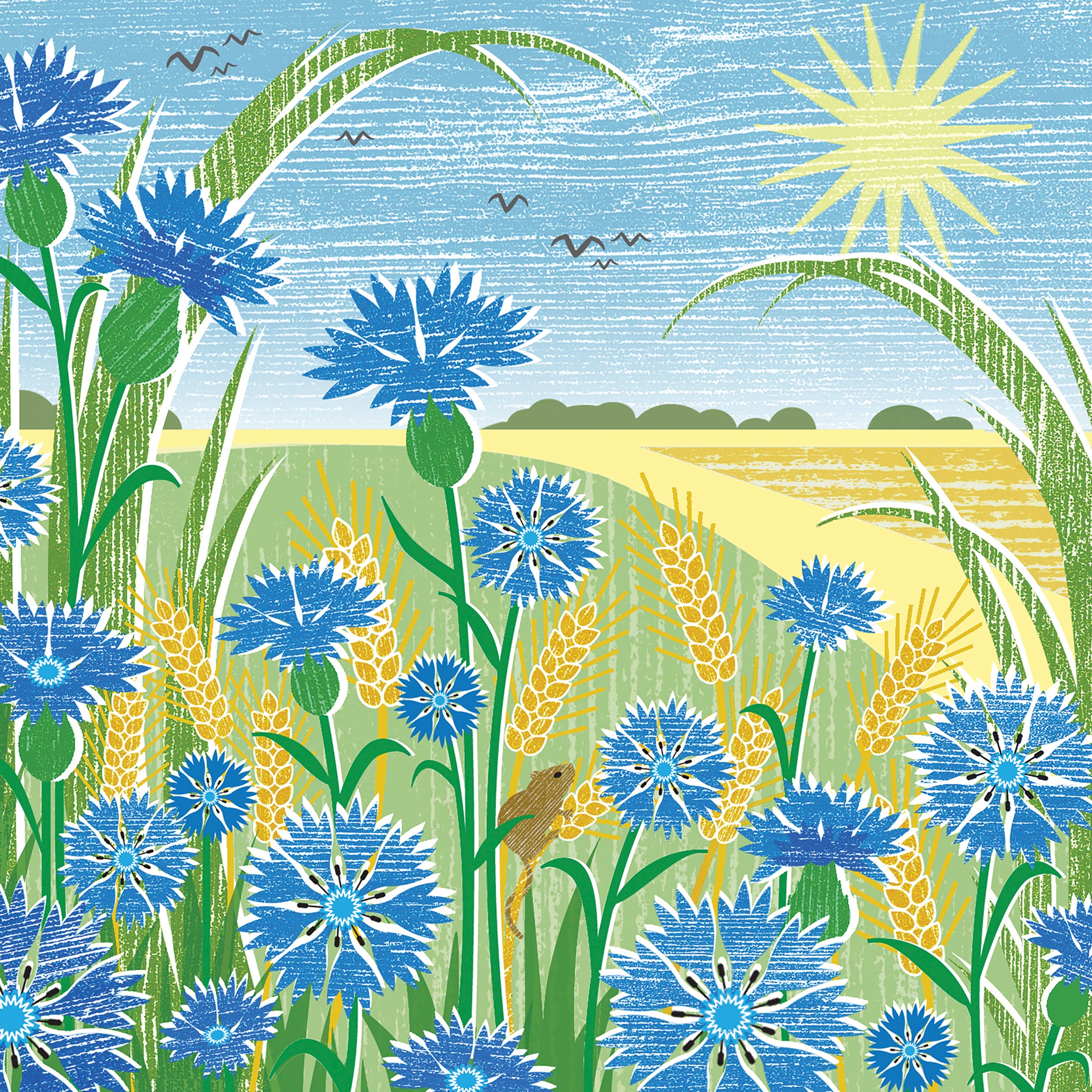 otter-house-quayside-gallery-cornflowers-gru-karte-blumen image 1